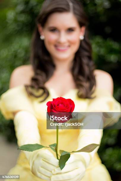 Young Brunette Princess Handing Out A Red Rose Stock Photo - Download Image Now - Beauty, Brown Hair, Cheerful