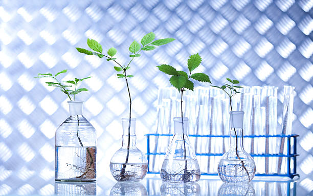 istock Biotechnology, Chemical laboratory glassware 476533153