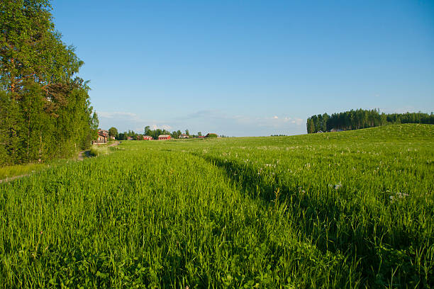 istock Country side in Finland 476533785