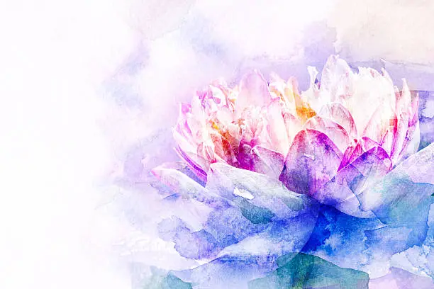 Abstract watercolor illustration of blossom flower. Watercolor painting on paper. Floral watercolor illustration.