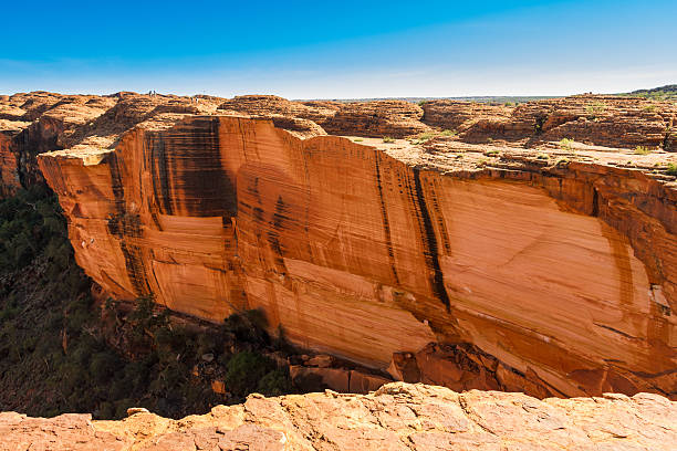 kings canyon australia - kings park foto e immagini stock