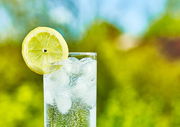 Sparkling water and lemon slice Sparkling water and lemon slice on glass with an ice, sunny day - narrow focus on middle of the glass carbonated water photos stock pictures, royalty-free photos & images