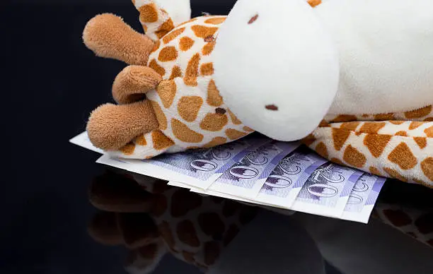 Photo of Child's soft toy with £20 British Sterling notes