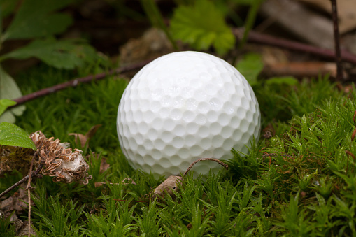 Focus on golf ball close to golf hole