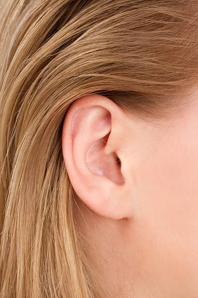 Closeup of a human ear stock photo