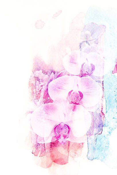 istock Flower watercolor illustration. 476545312