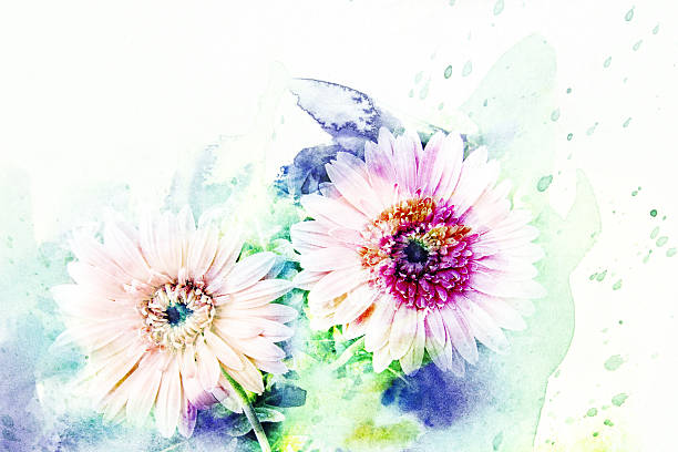 Abstract watercolor illustration of blossom gerbera. Watercolor painting on paper. Floral watercolor illustration.