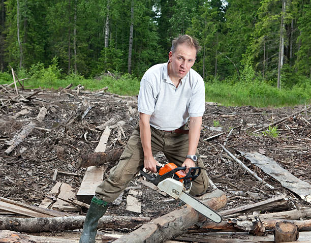 istock The man in wood saws a tree  chain saw 476548186