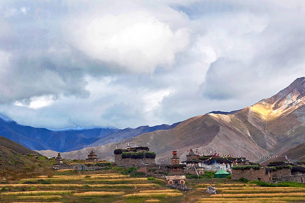 dho tarap aldeia, dolpo, nepa - nepal landscape hiking rice imagens e fotografias de stock