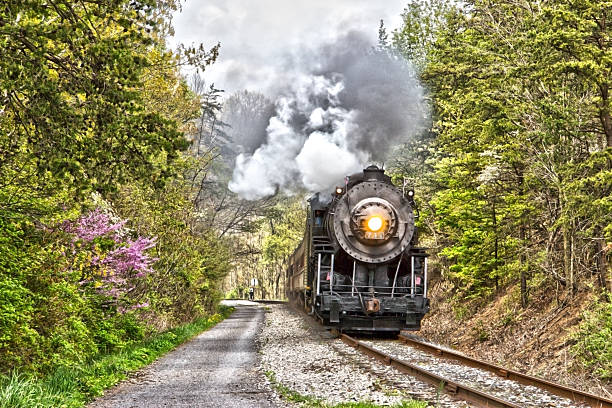 vapore accanto a percorsi per biciclette - soot steam train tourist train train foto e immagini stock