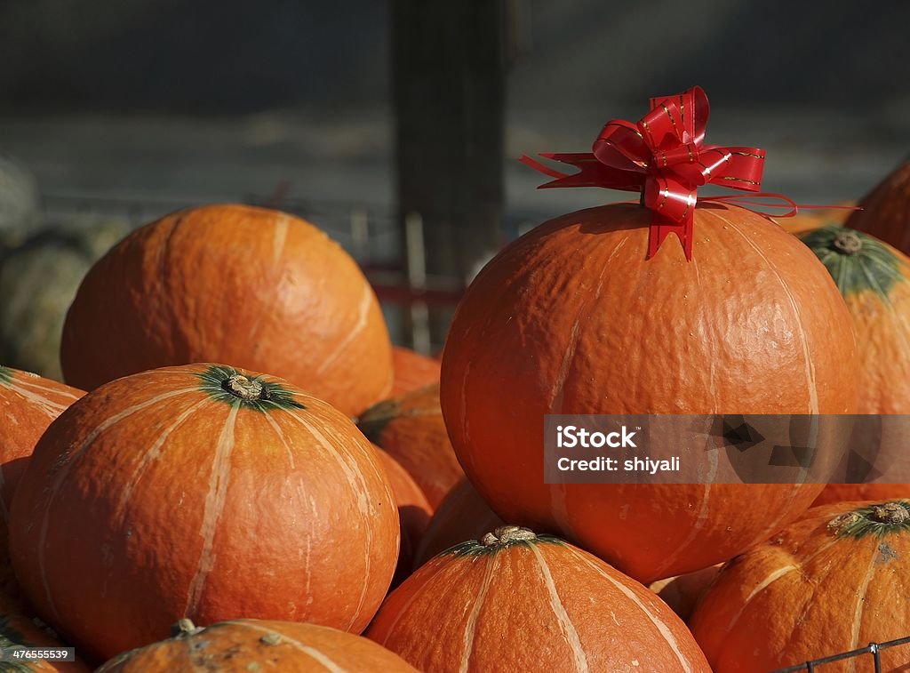 Große Orange Kürbisse - Lizenzfrei Band Stock-Foto