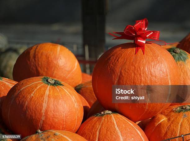 Große Orange Kürbisse Stockfoto und mehr Bilder von Band - Band, Biegung, Flaschenkürbis