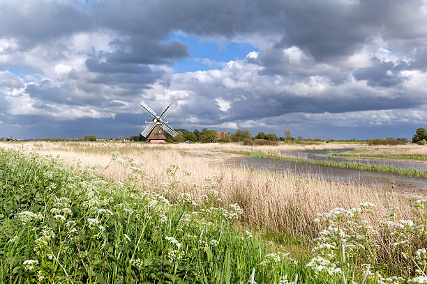 istock Dutch windmill and wildflowers by river 476557818
