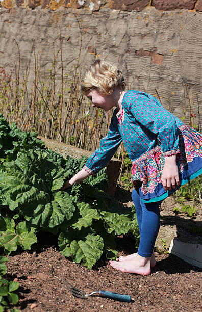 istock Pretty young girl gardening 476558034