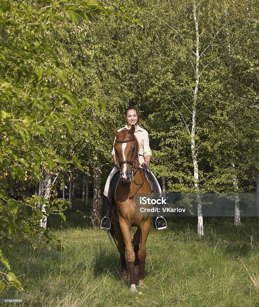 Bella Ragazza sorridente Marrone equitazione cavallo attraverso un bosco - Foto stock royalty-free di Abbigliamento sportivo
