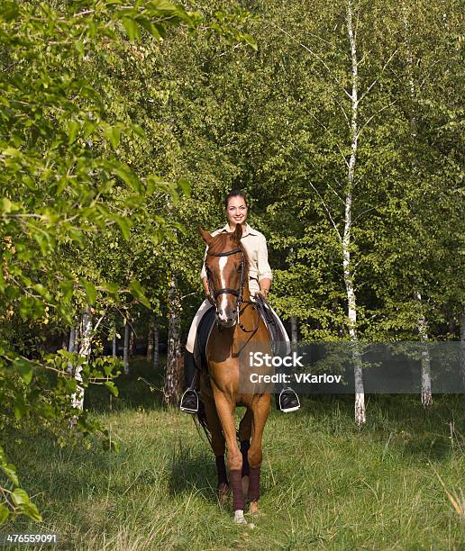 Bella Ragazza Sorridente Marrone Equitazione Cavallo Attraverso Un Bosco - Fotografie stock e altre immagini di Abbigliamento sportivo