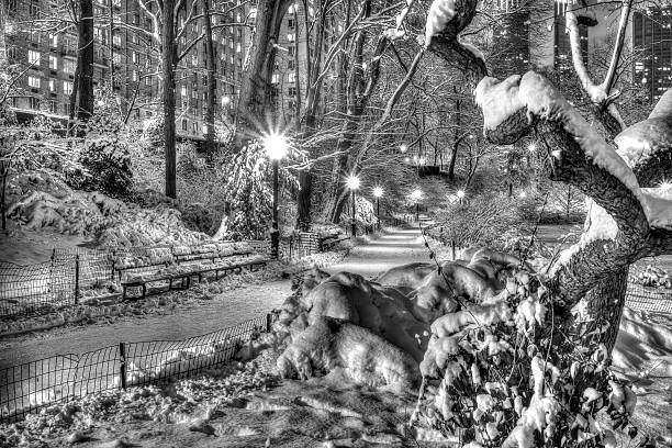 istock Central Park, New York City 476559245