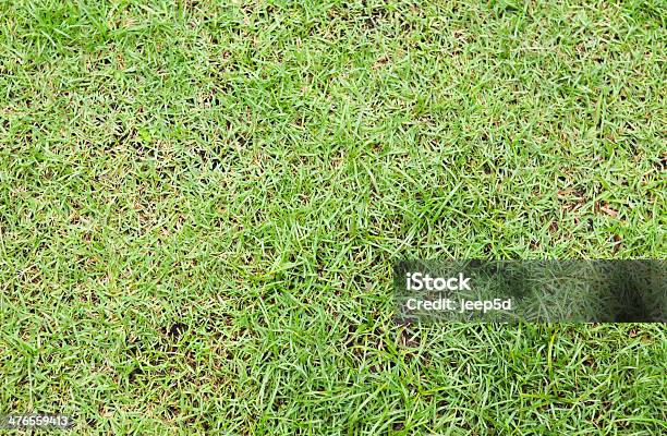 Sfondo Verde Erba - Fotografie stock e altre immagini di Ambientazione esterna - Ambientazione esterna, Ambiente, Astratto