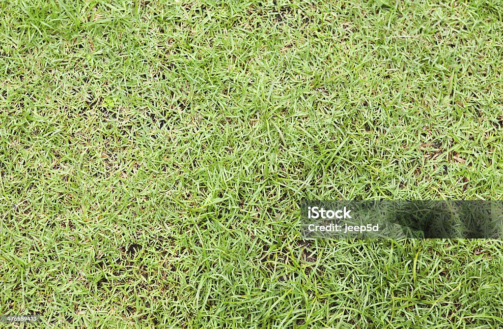 Fundo de grama verde - Foto de stock de Abstrato royalty-free