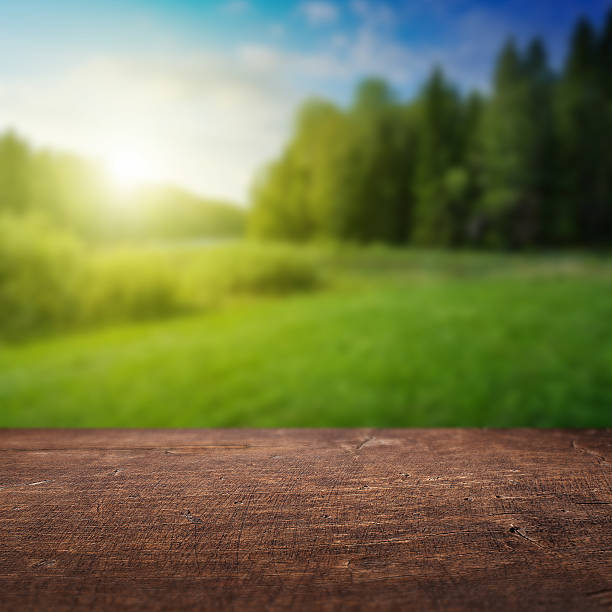 istock Wooden floor and defocused summer landscape on background 476562004