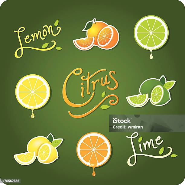 Lemon Lime And Citrus Fruit Stock Illustration - Download Image Now - Lime, Lemon - Fruit, Juice - Drink