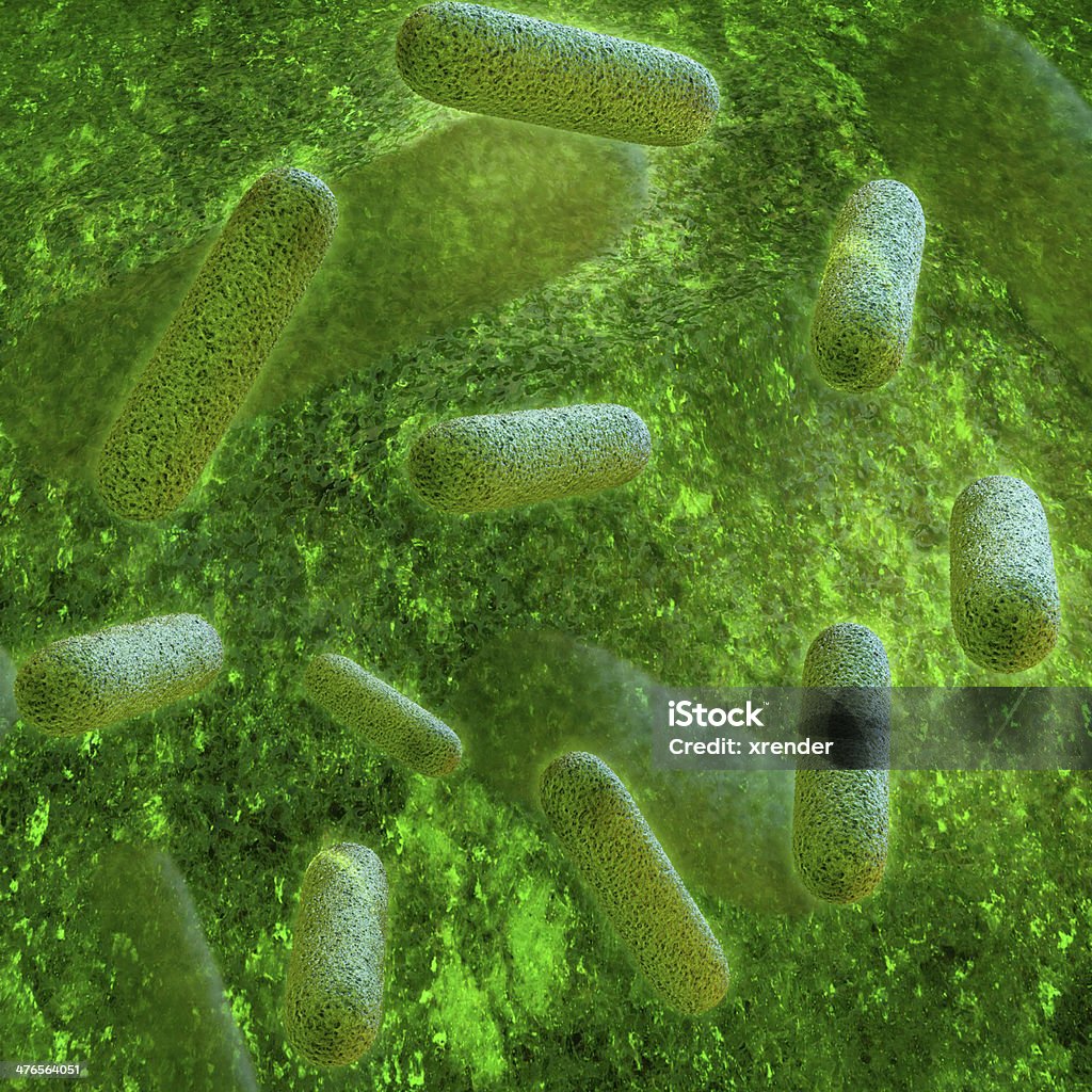 박테리아 - 3d 렌더링됨 일러스트 - 로열티 프리 3차원 형태 스톡 사진