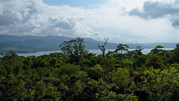 istock Hills of the Rainforest 476568760