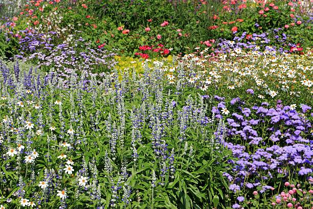 istock Herb and flower garden 476572329