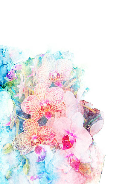 istock Flower watercolor illustration. 476573496