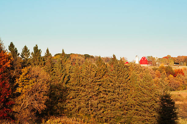 istock Autumn Landscape with Colorful Fall Trees and Farm Red Barn 476573789