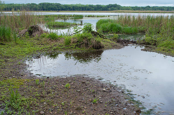 istock Minnesota Valley at Gun Club Lake 476574846