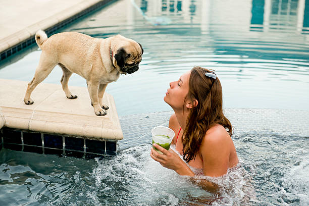 istock Younng Woman And Pug 476576621