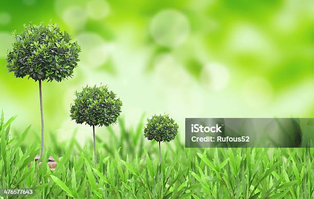 Plant Growing In The Grass Stock Photo - Download Image Now - Abstract, Backgrounds, Circle