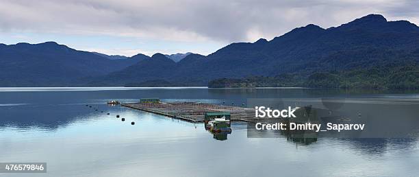 Breeding Fish And Seafood In Patagonia Chile Stock Photo - Download Image Now - 2015, Blue, Coastline