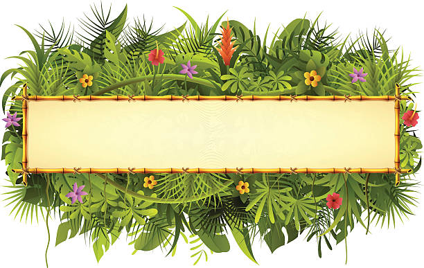 тропический лес и побеги знак - tropical climate banner tropical rainforest placard stock illustrations