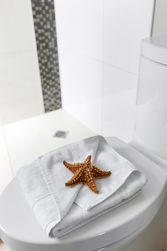 White toilet with starfish on  towel in a bathroom tiled interior