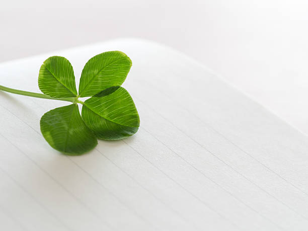 istock Four leaves and letter paper 476587078