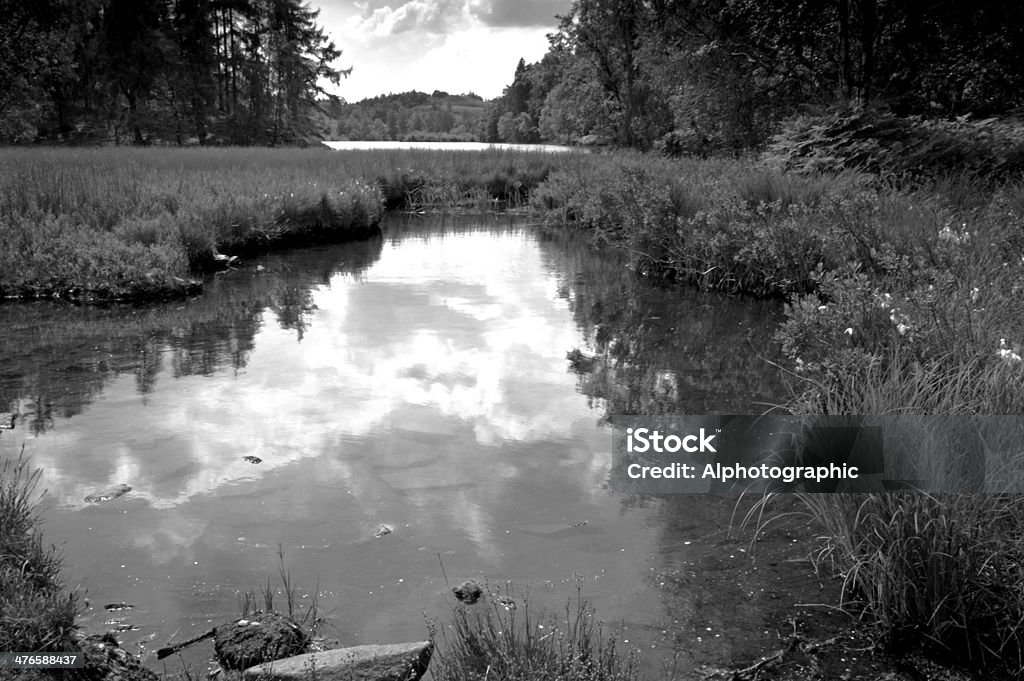 Tarn presentação a - Foto de stock de Agricultura royalty-free