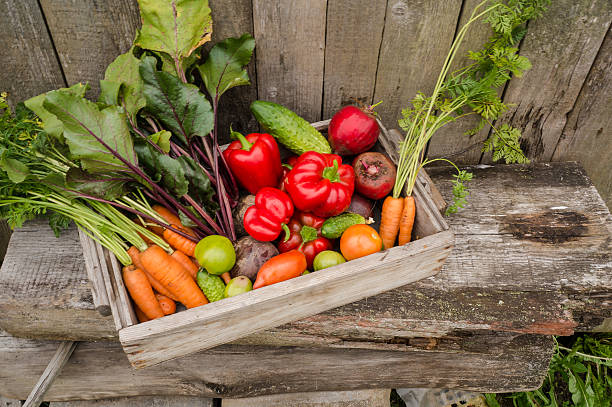 vegetables in the garden