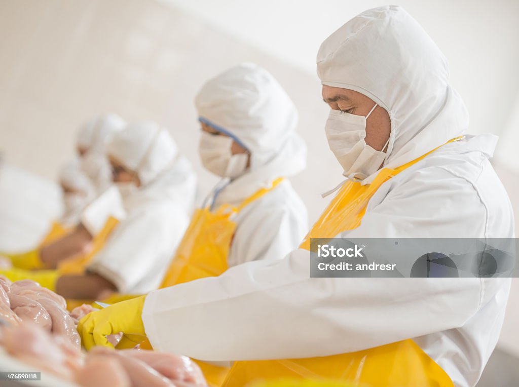 People working at a food factory People working at a food factory doing quality control on some chickens Food Processing Plant Stock Photo