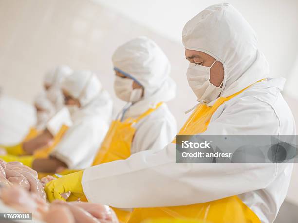 People Working At A Food Factory Stock Photo - Download Image Now - Food Processing Plant, White Meat, Factory