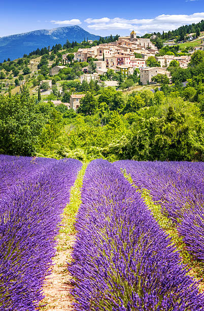 campo di lavanda e un villaggio, in francia. - provenza alpi costa azzurra foto e immagini stock