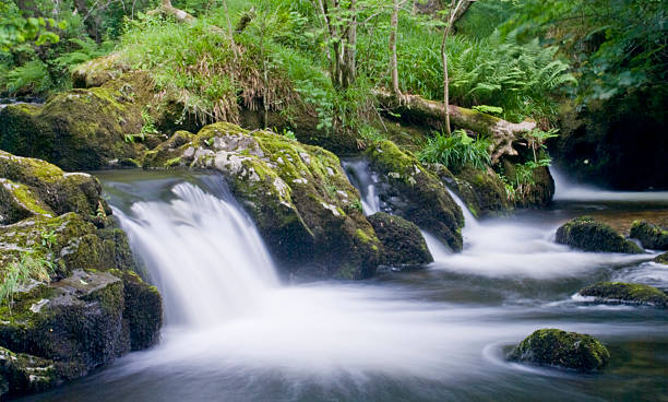 istock Above Aira Force, Lake District, England 476593492