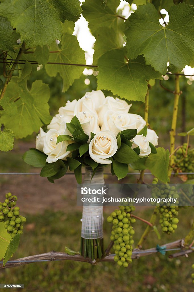 Ramo para novias en Vineyard - Foto de stock de Boda libre de derechos