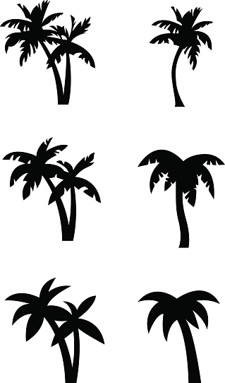 Set of stylized palm tree silhouettes in three different states of simplification / abstraction. Illustrations are in black on white background ready to use for logos, emblems and similar applications.