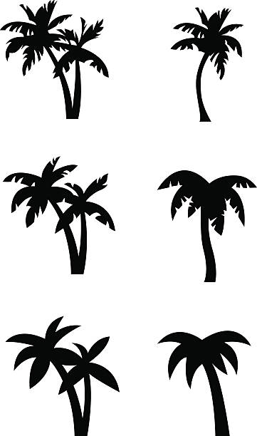 Stylized palm tree silhouettes Set of stylized palm tree silhouettes in three different states of simplification / abstraction. Illustrations are in black on white background ready to use for logos, emblems and similar applications. palm tree illustrations stock illustrations