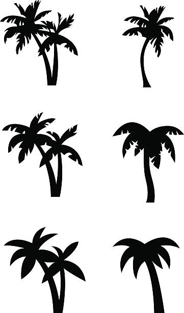 stylized palm tree silhouettes - 棕櫚樹 幅插畫檔、美工圖案、卡通及圖標