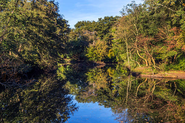 istock landscape at river Nidda in Frankfurt 476595056
