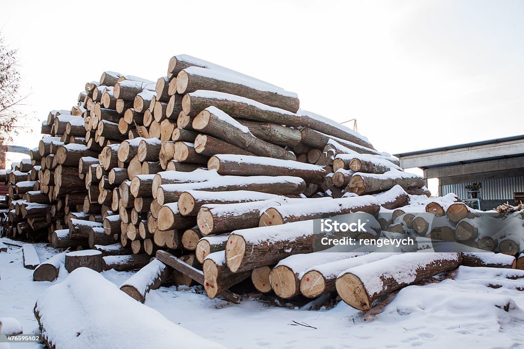 the logs on the snow the logs on the snowthe logs on the snow 2015 Stock Photo