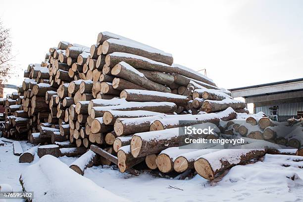 The Logs On The Snow Stock Photo - Download Image Now - 2015, Agriculture, Brown